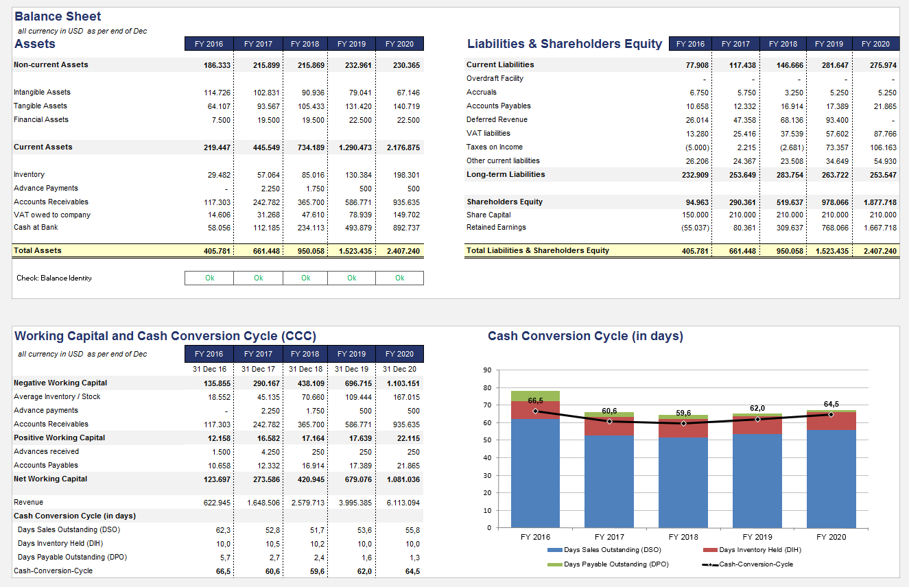 Balance Sheet (condensed) Working Capital Cash Conversion Cycle